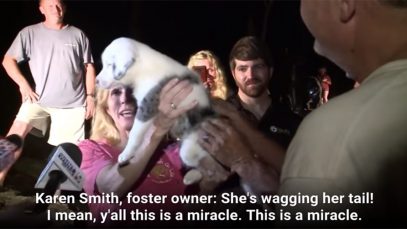 Deaf Foster Puppy Rescued From 50-Foot Hole After More Than 24 Hours