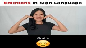 Learn Basic Feelings & Emotions in Sign Language