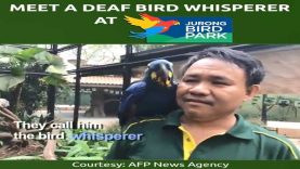 Meet Singapore’s Deaf Bird Whisperer At Jurong Bird Park