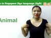 Singapore Sign Language (SgSL) Lesson: Animals