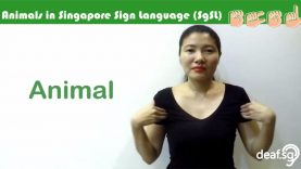 Singapore Sign Language (SgSL) Lesson: Animals