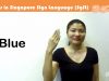 Singapore Sign Language SgSL Lesson: Colours