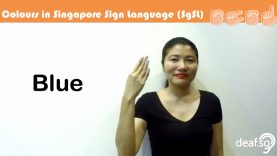 Singapore Sign Language SgSL Lesson: Colours