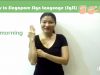 Singapore Sign Language (SgSL) Lesson: Greetings