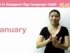 Singapore Sign Language (SgSL) Lesson: Months Of The Year