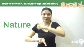 Singapore Sign Language (SgSL) Lesson: Nature-Related Words