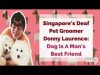 Singapore’s Deaf Pet Groomer Donny Laurence: Dog Is A Man’s Best Friend